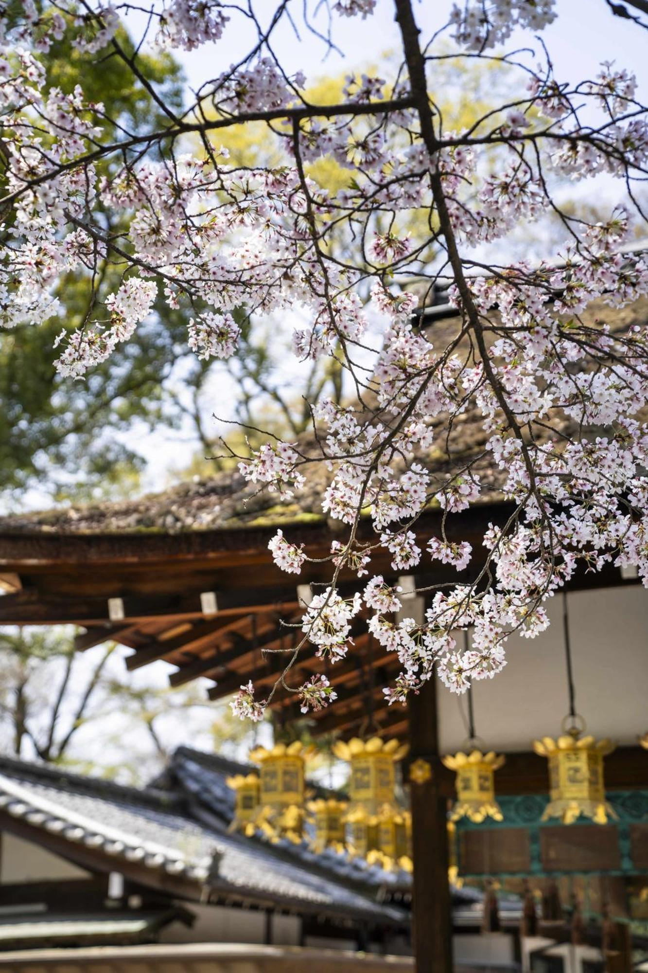 Kamo Residences By Reflections Kyoto Bagian luar foto